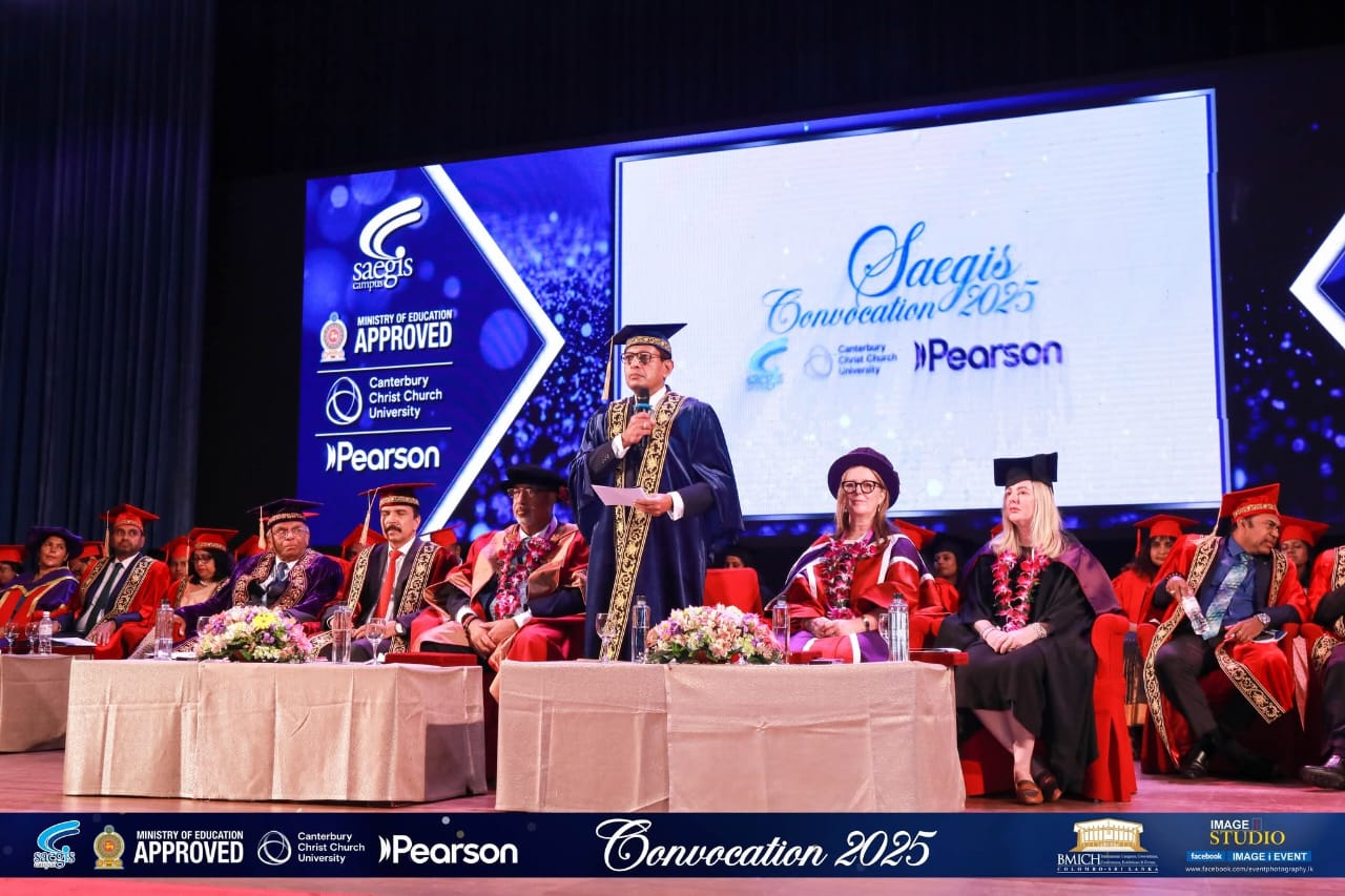 Saegis: Department of Management